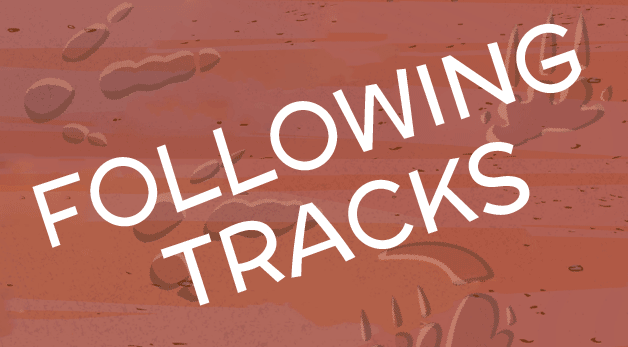 Following Tracks